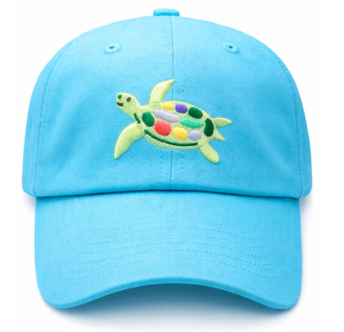 Sea Turtle BB Hat - Aqua Youth
