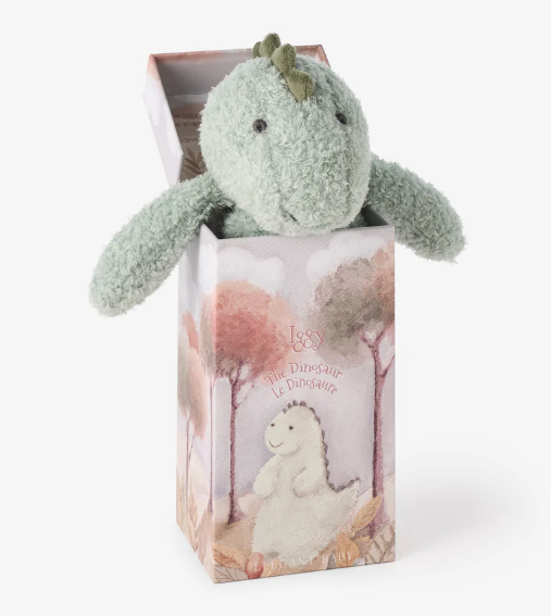 Dinosaur Boxed Snuggler Blankie