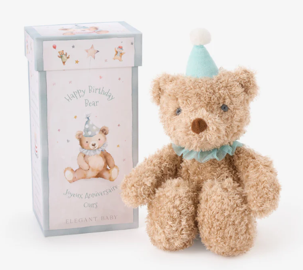 Aqua Birthday Bear w/Gift Box
