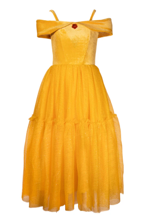 The Enchanted Rose Princess