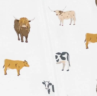 Zip Footie - Moo