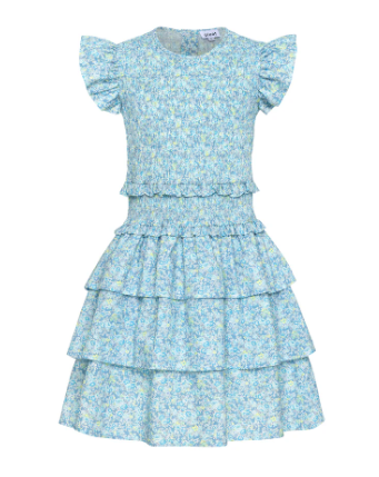Claire Aqua Floral Dress