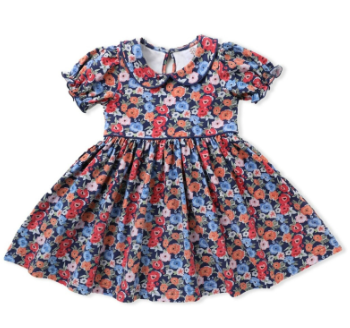 Blue/Red Floral Proper Dress - Toddler