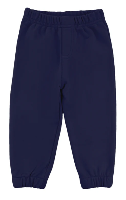 Boy Navy Jogger