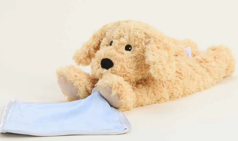 Golden Dog Blanket Warmie