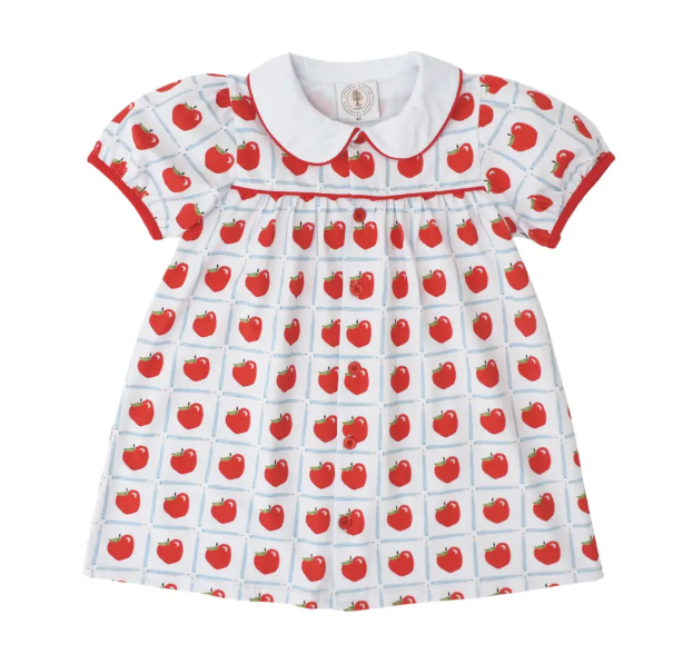 Teachers Pet Plaid Paisley Proper Dress