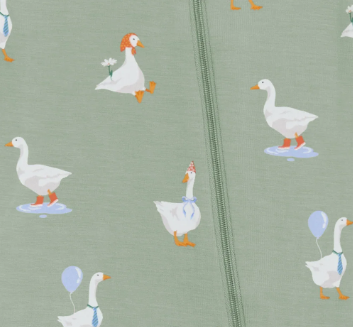 Zip Footie - Silly Goose