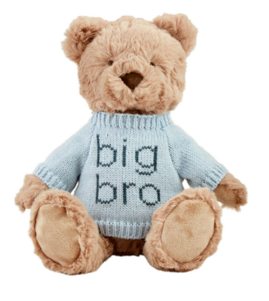 Big Bro Plush Bear