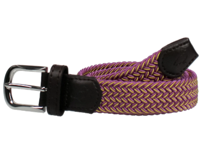 Stretch Belt - Purple and Gold