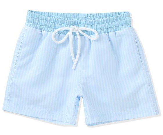 Blue Stripe Swim Trunk