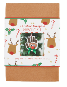 Reindeer Handprint Kit