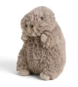 Capybara Warimes Junior