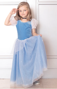 Princess Cinderella Costume Dress