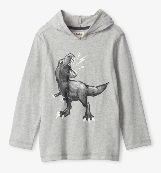 Dino LS Hoodie Tee