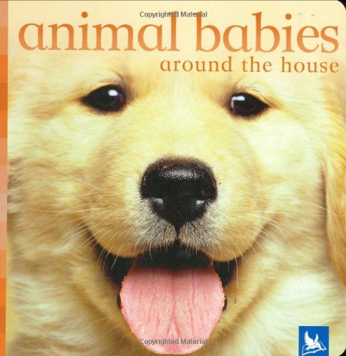 Animal Babies Around the House