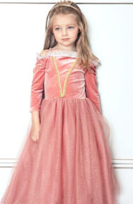 Princess Briar Rose Costume Dress